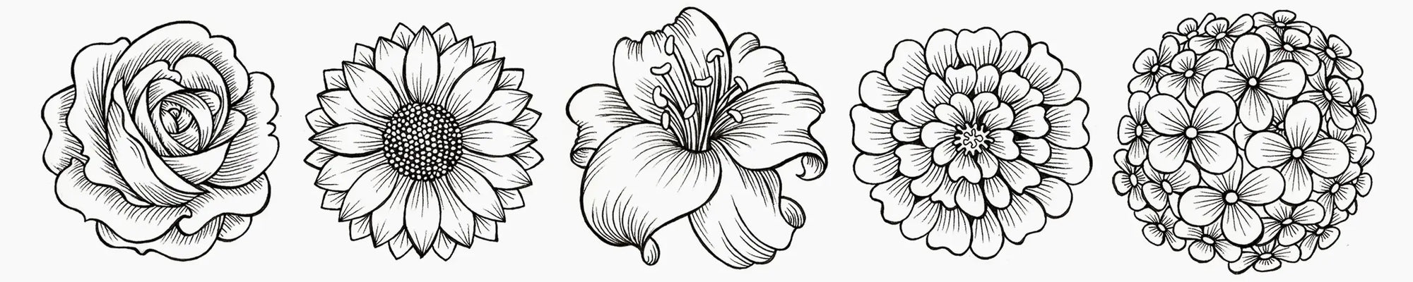 Nature, draw + outline flowers