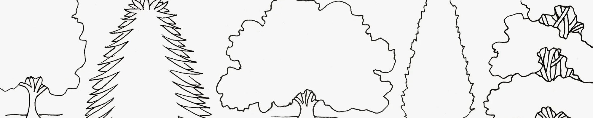 Nature, draw + outline TREES