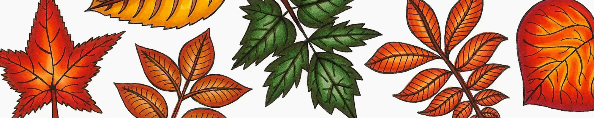 Nature, Coloring Leaves pt. 2