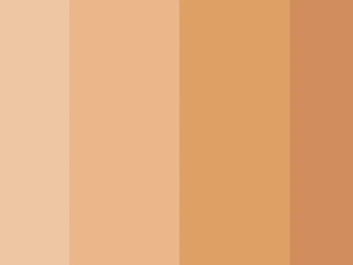 Colors NOT on the Color Wheel: Browns