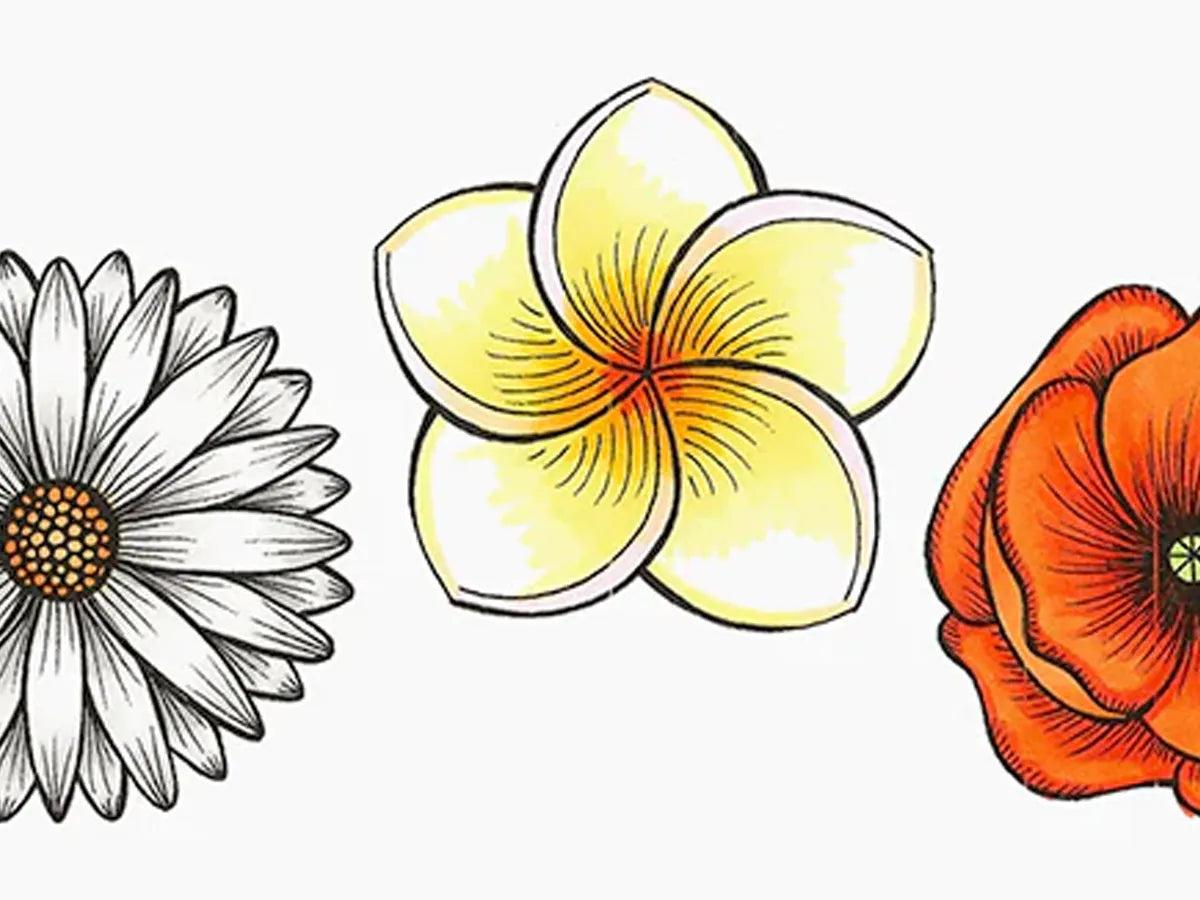 Nature, Coloring Flowers pt. 2