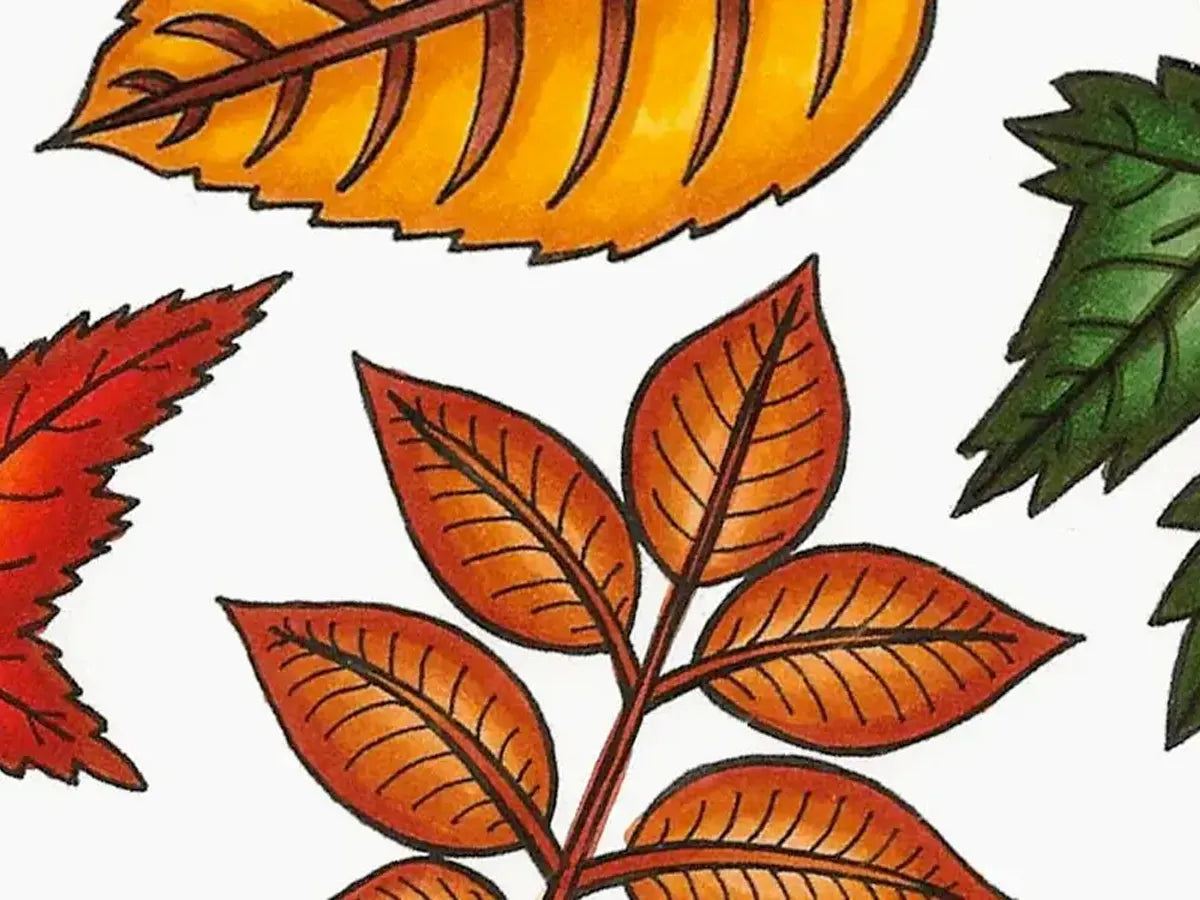 Nature, Coloring Leaves pt. 2