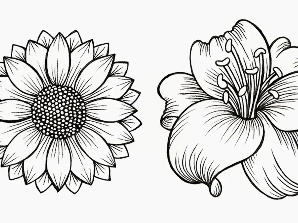 Nature, draw + outline flowers