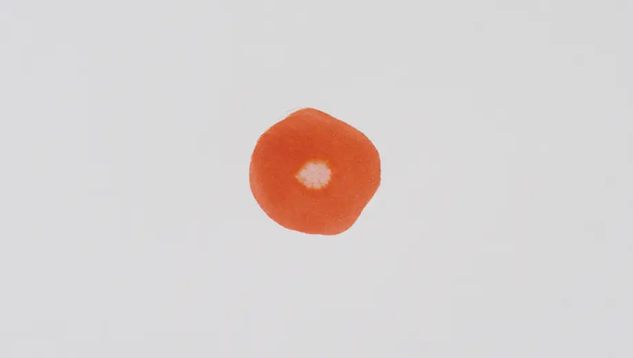 Color disappears from color swatch