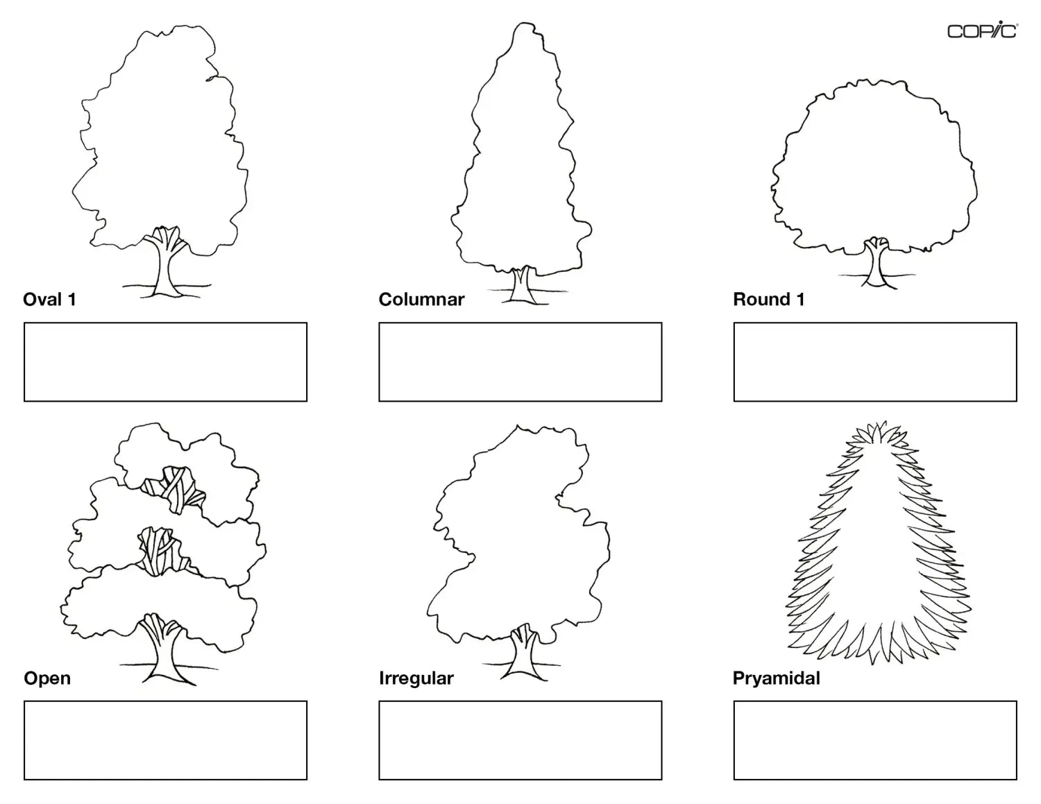 Nature coloring TREES pt. 1