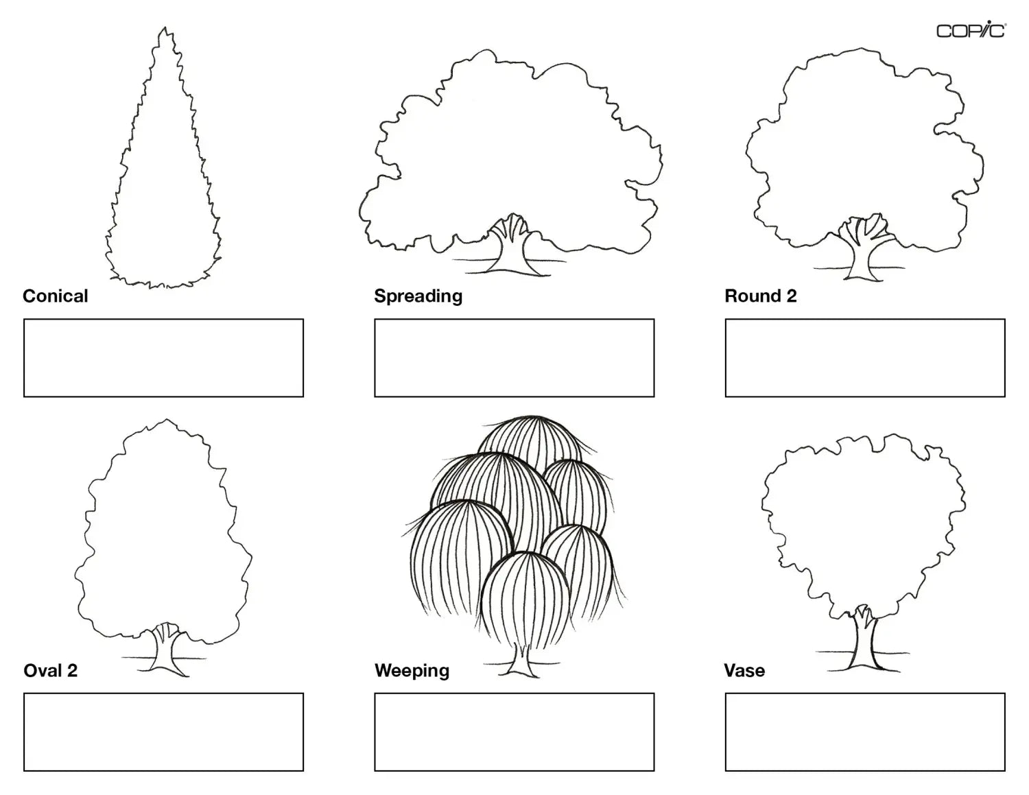 Nature coloring TREES pt. 2