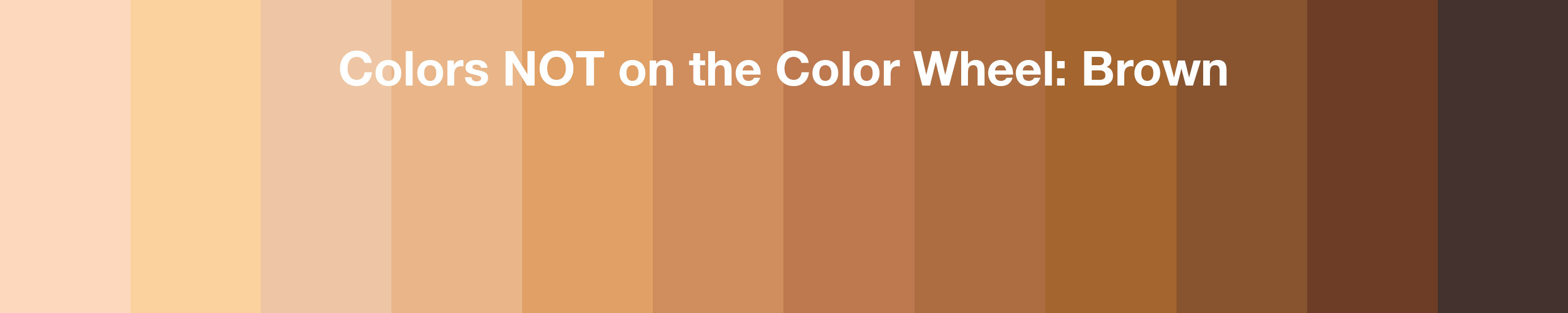 Colors NOT on the Color Wheel: Browns Banner