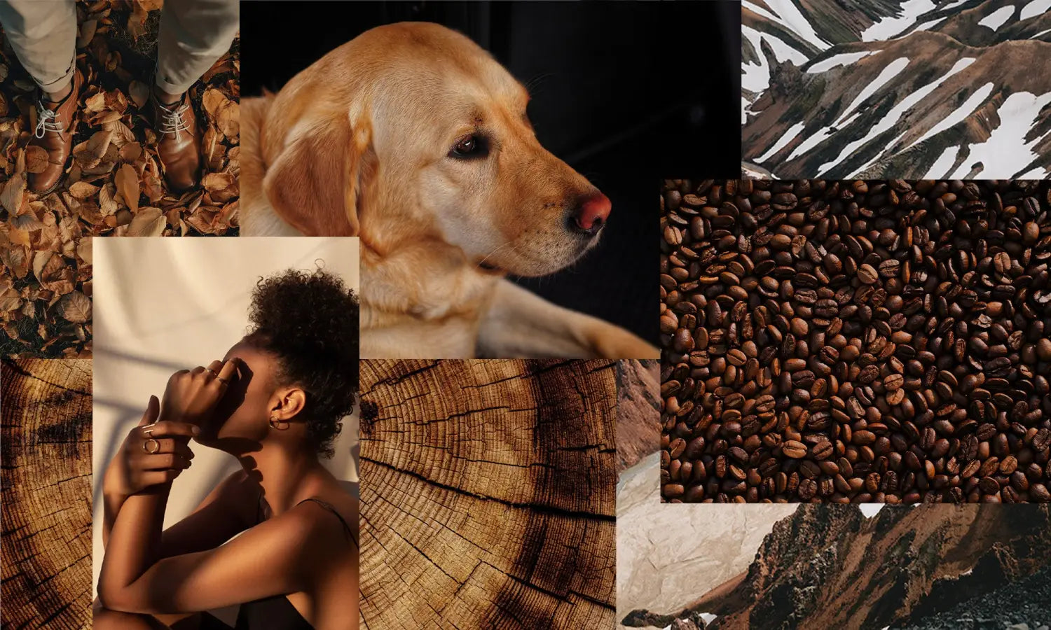 Brown examples