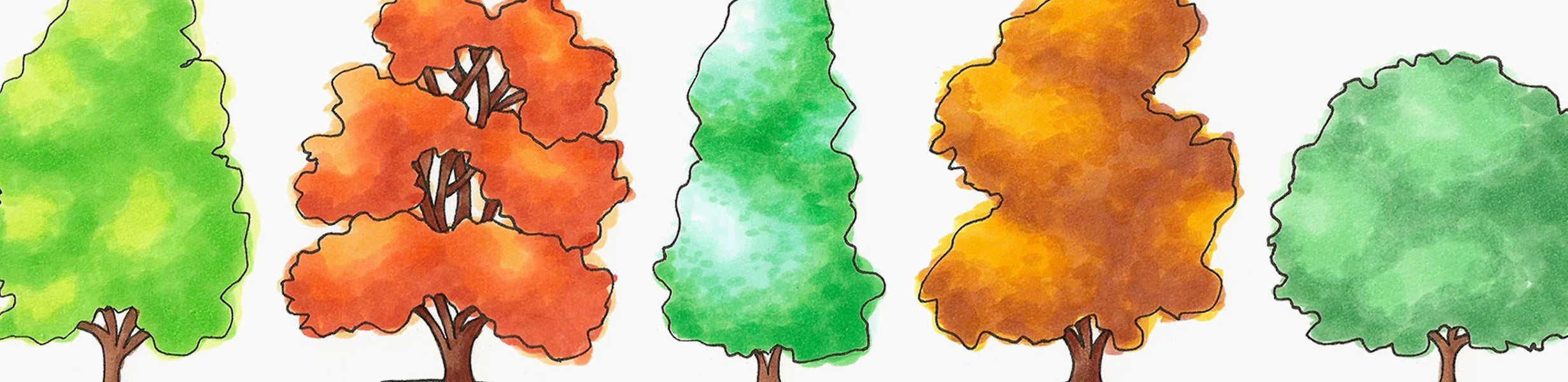 Nature coloring TREES pt. 2