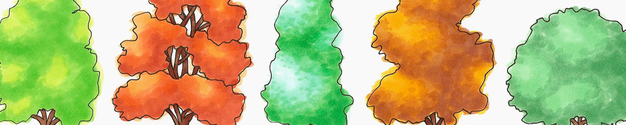 Nature, coloring TREES pt. 1