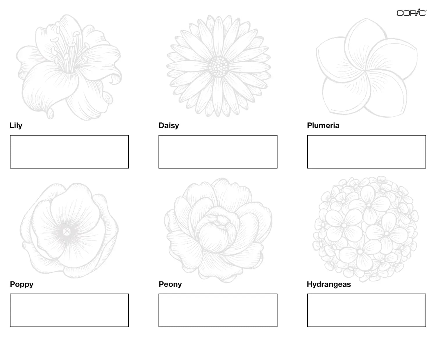 Flowers 2_15_