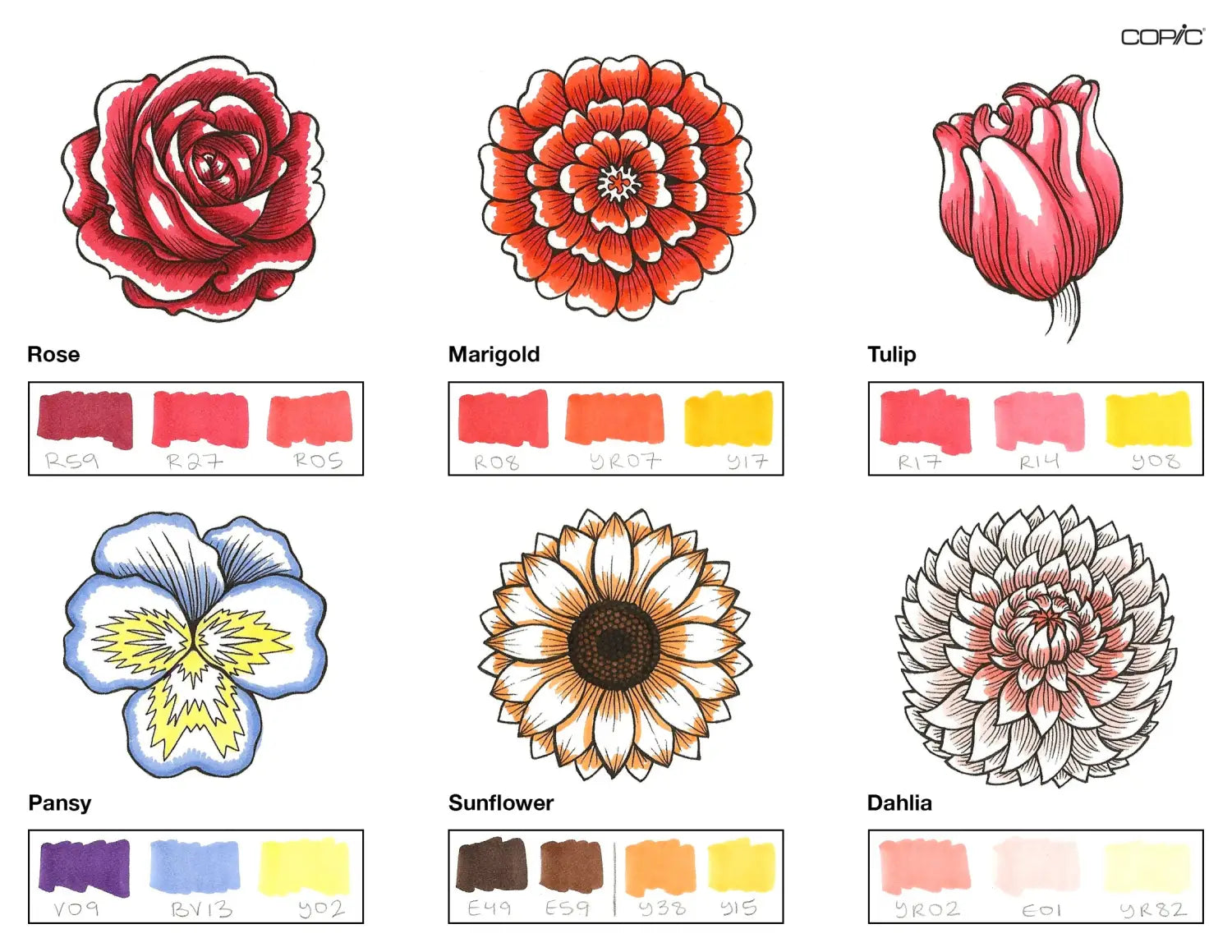 Flowers Coloring_1A step 3