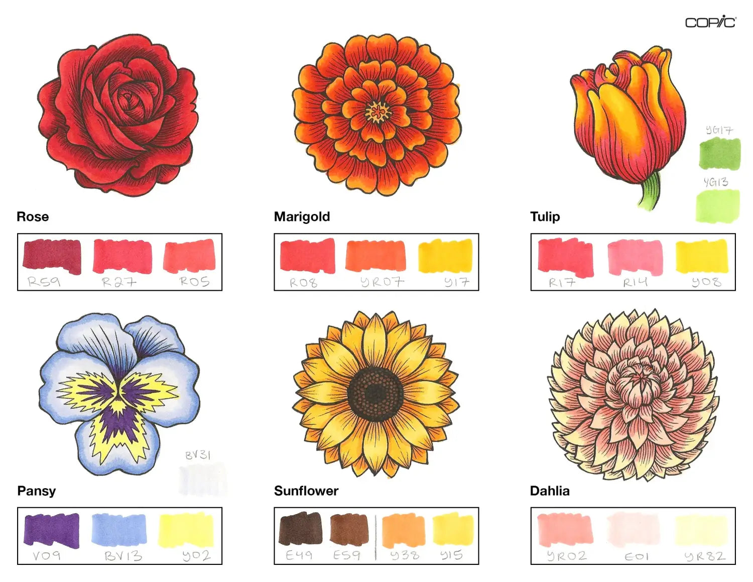 Flowers Coloring_1A step 5