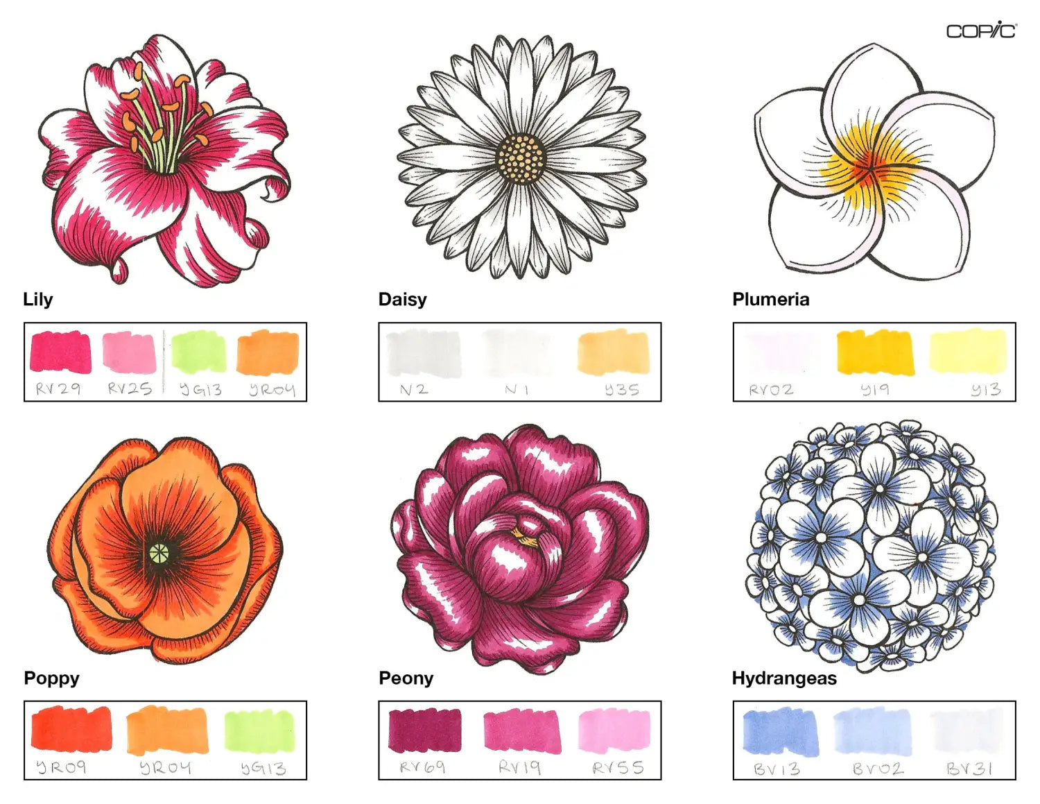 Flowers Coloring_2A step 3