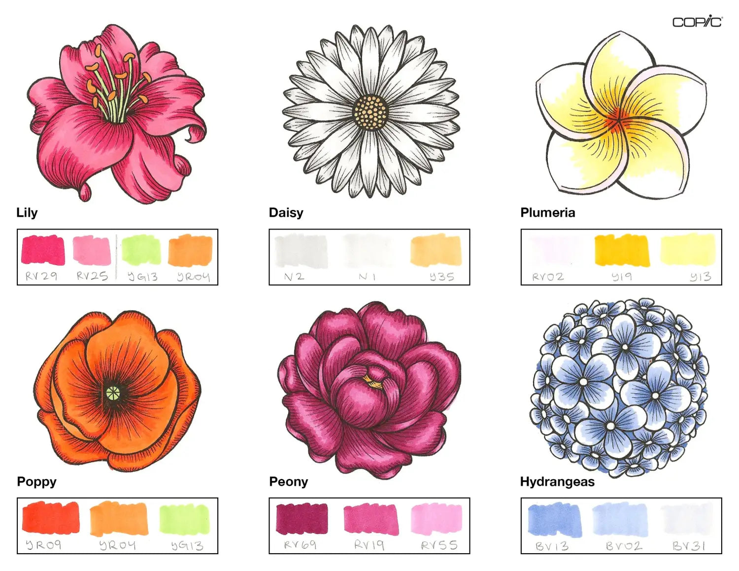 Flowers Coloring_2A step 4