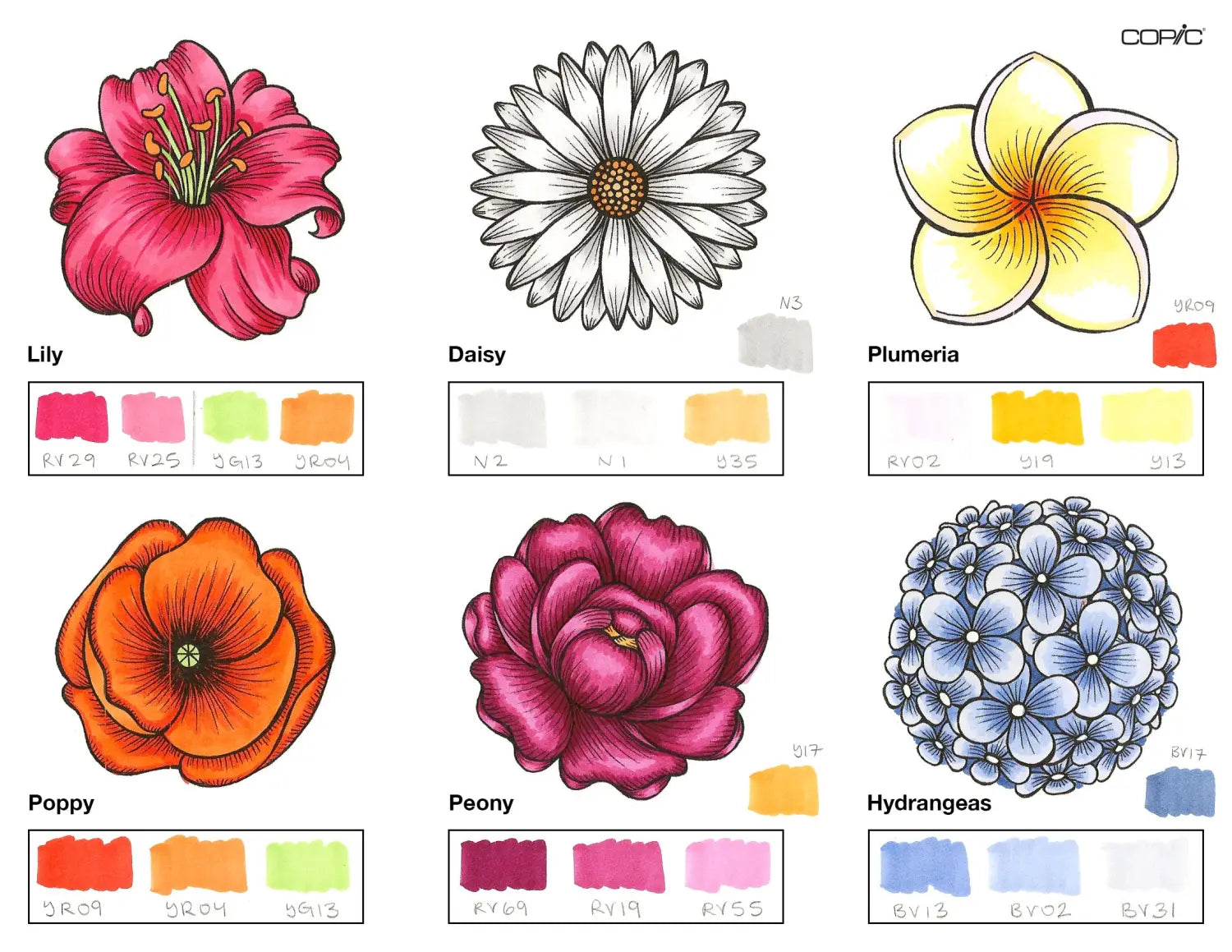 Flowers Coloring_2A step 5