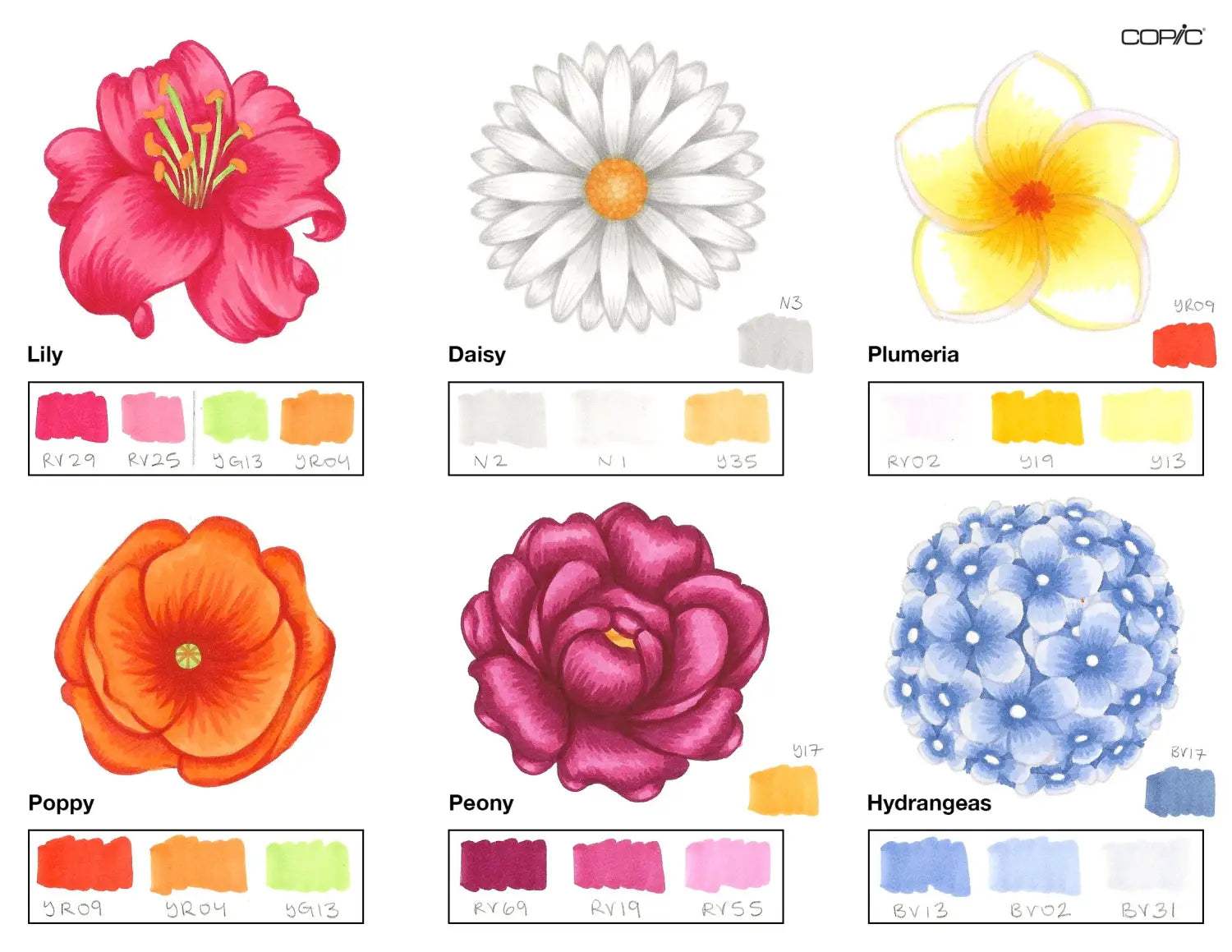 Flowers Coloring_2B step 5