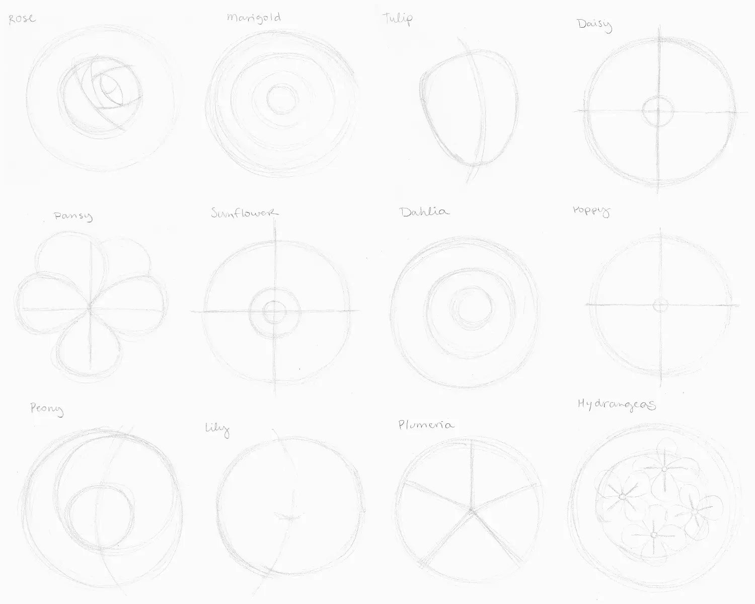 Flowers drawing, step 1