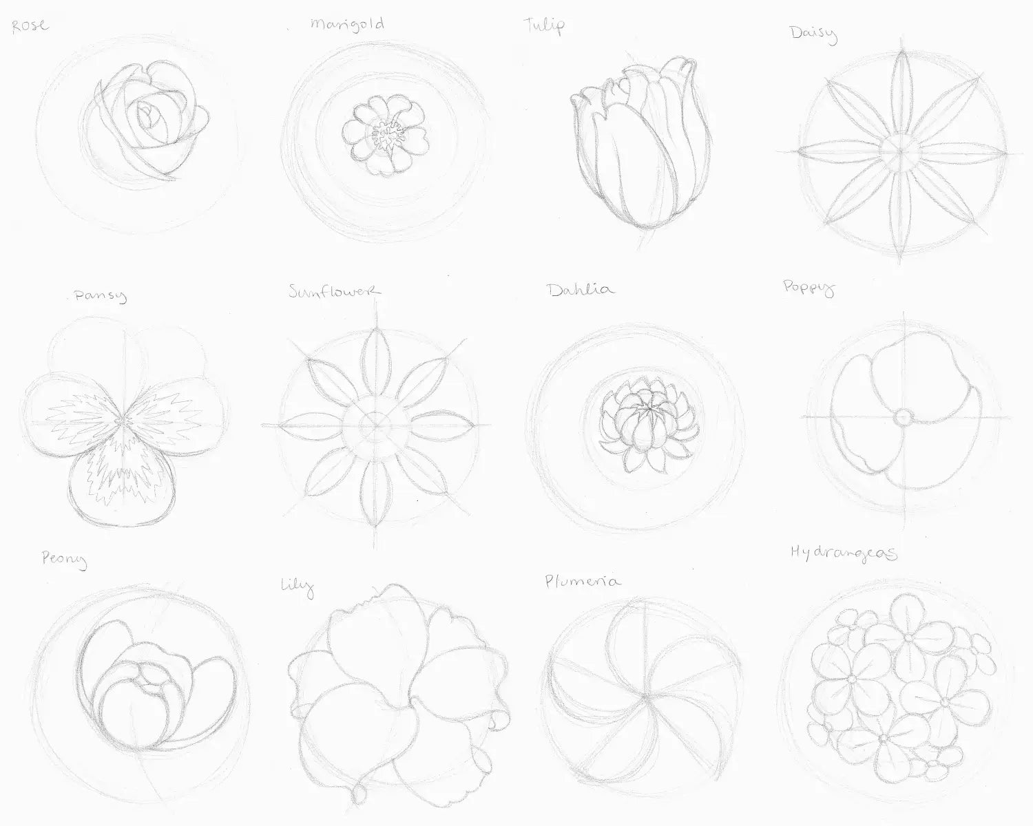 Flowers drawing, step 2