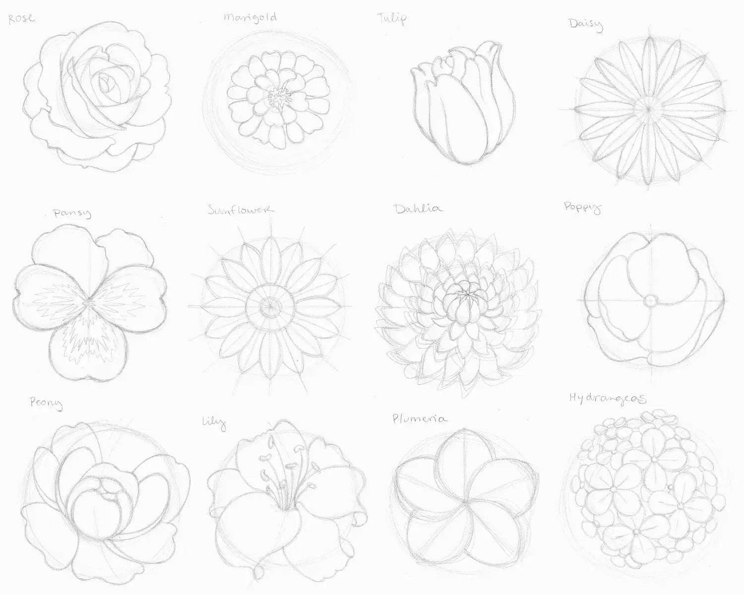 Flowers drawing, step 3