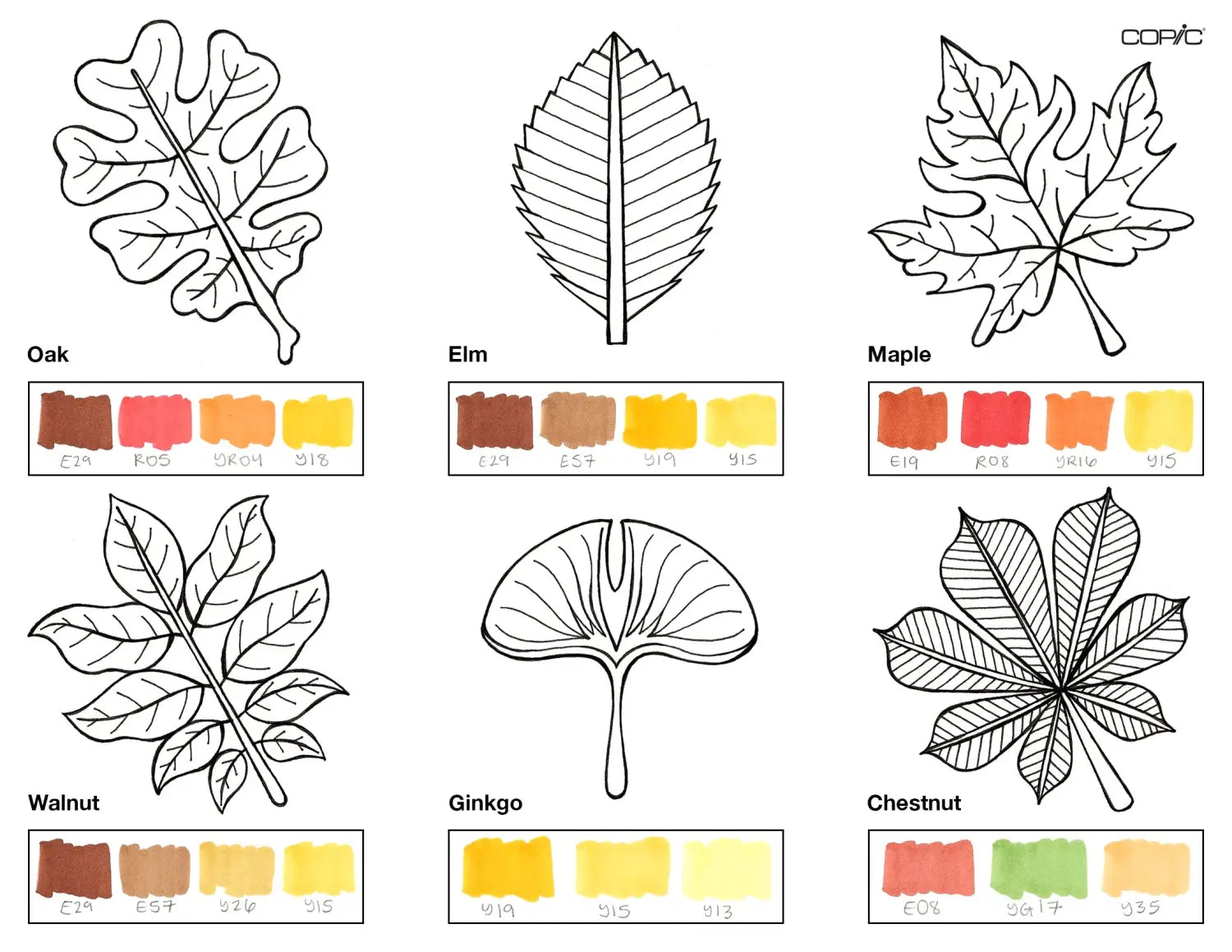 Leaves coloring step 1