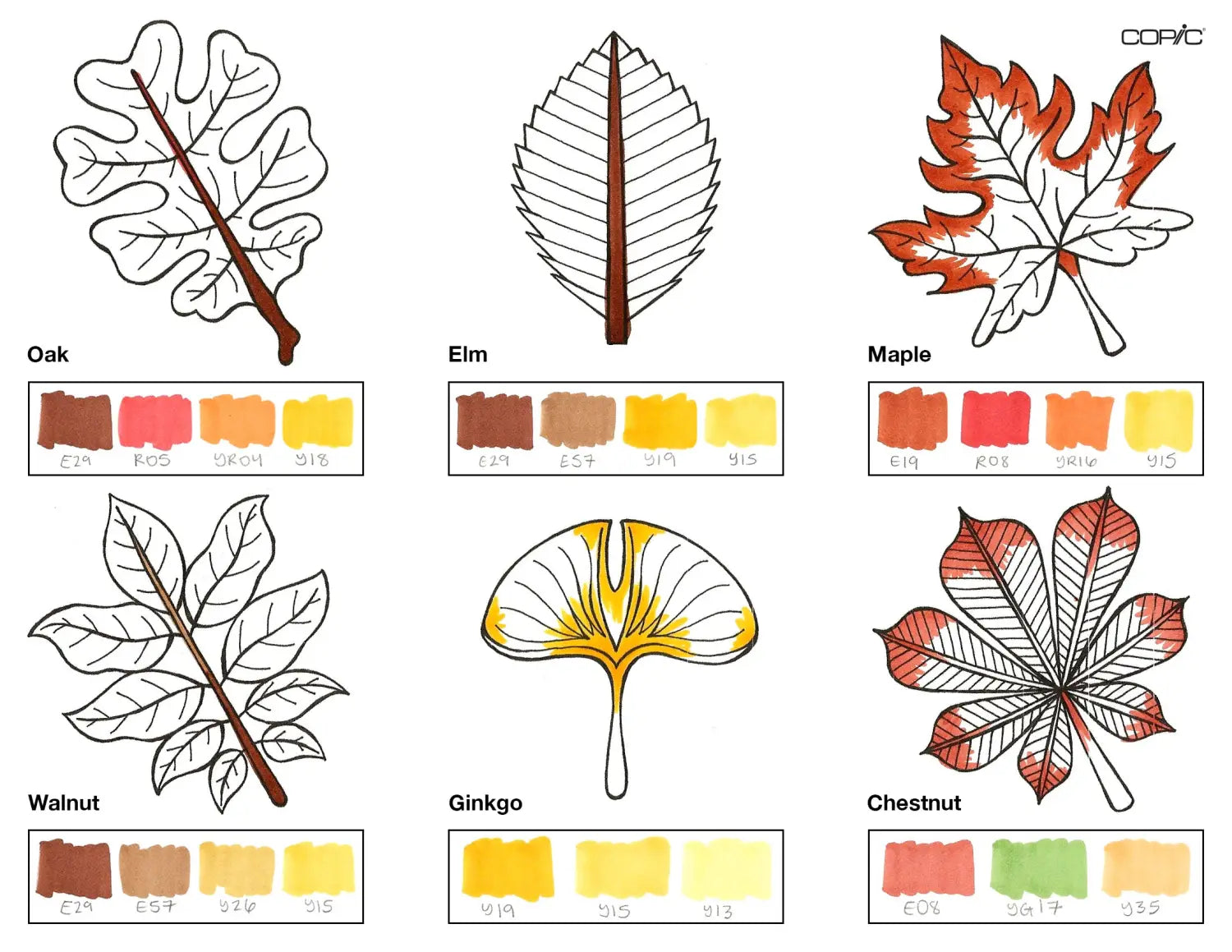 Leaves coloring step 2