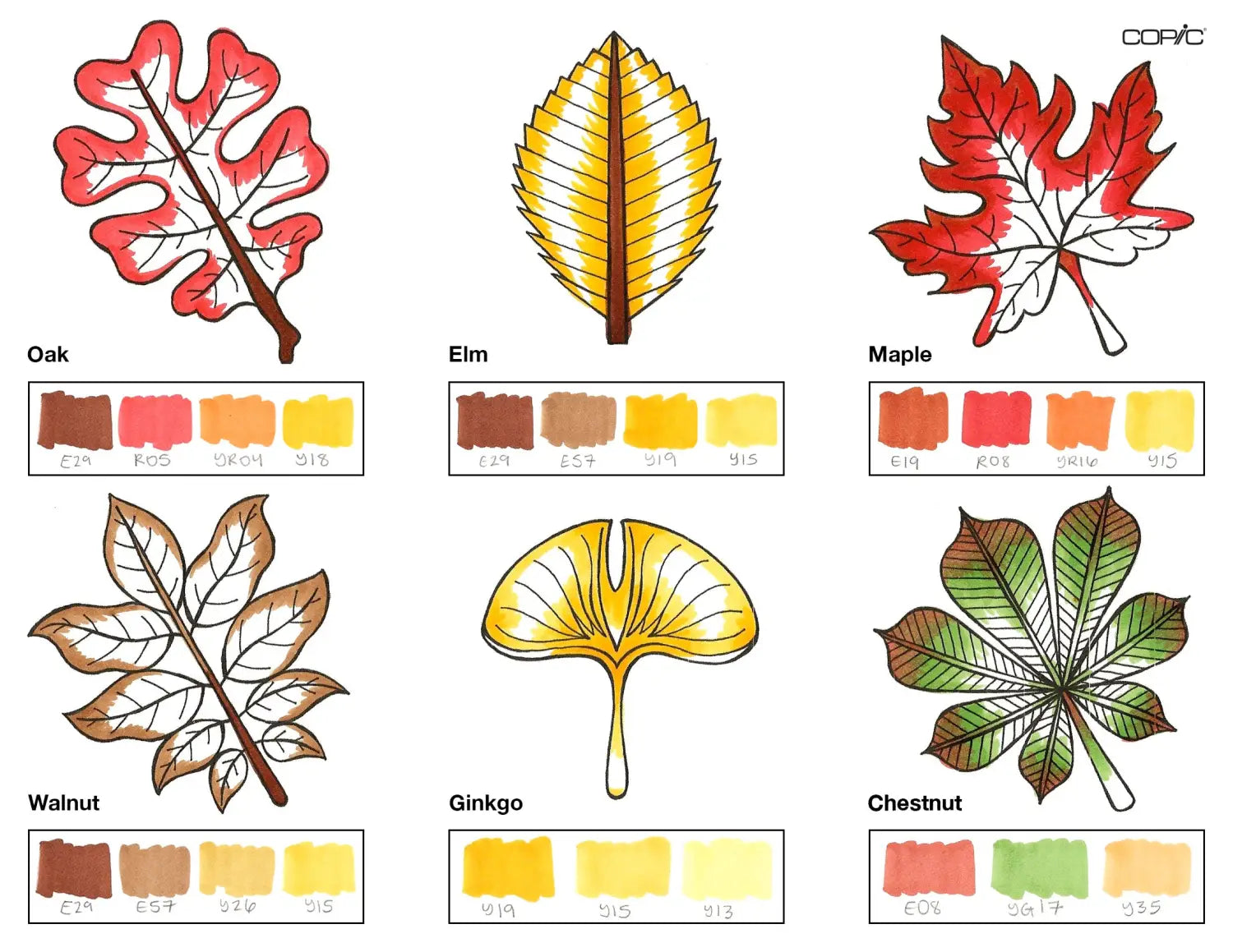 Leaves coloring step 3