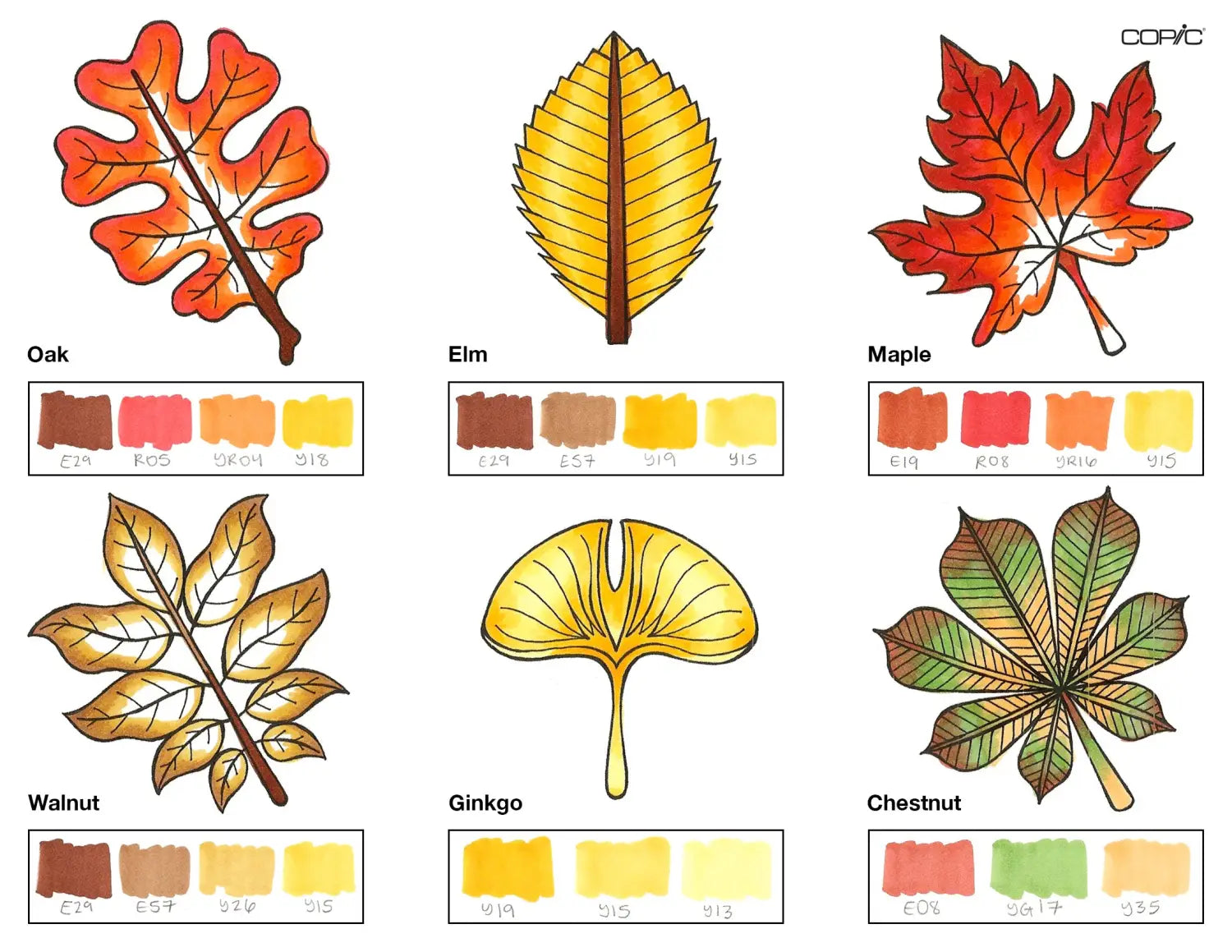 Leaves coloring step 4