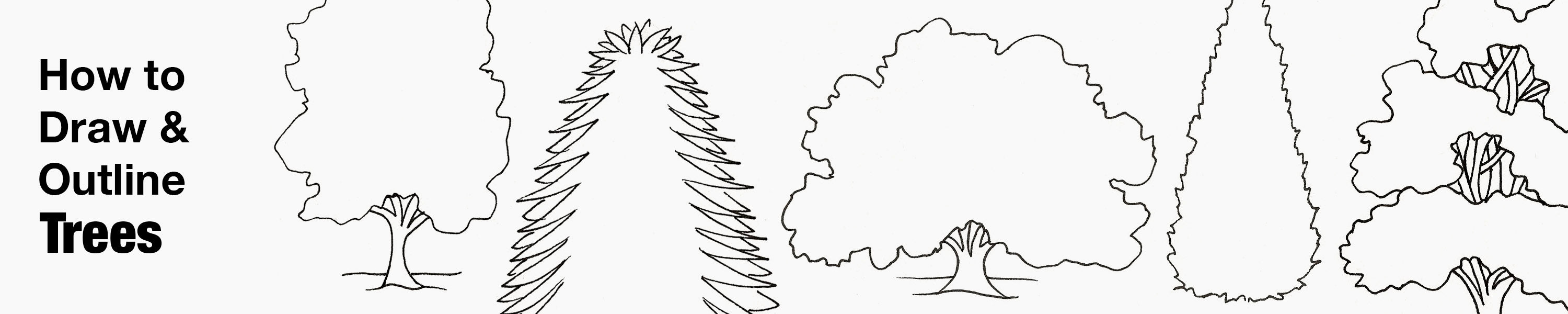 Nature draw + outline TREES