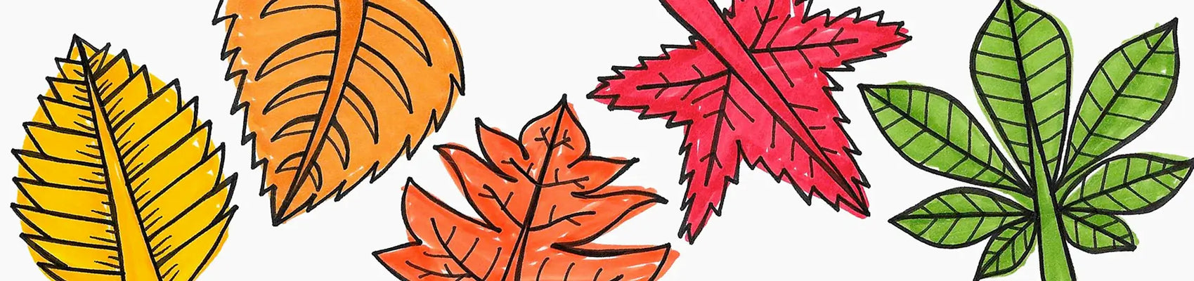 Nature, Doodle Leaves