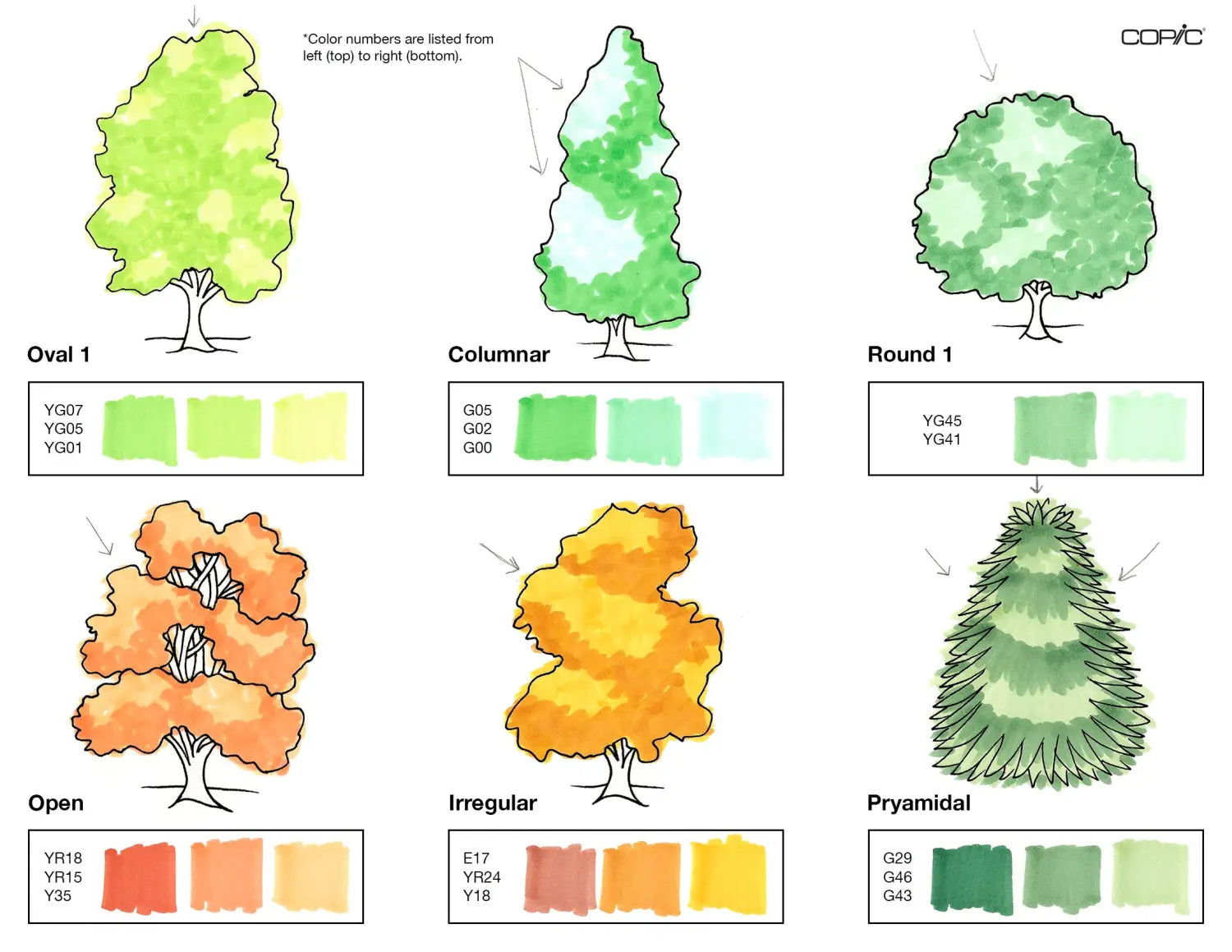 Nature coloring TREES pt. 1