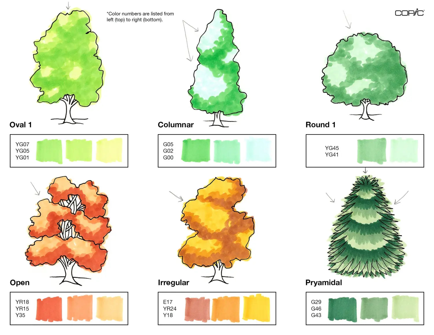 Nature coloring TREES pt. 1