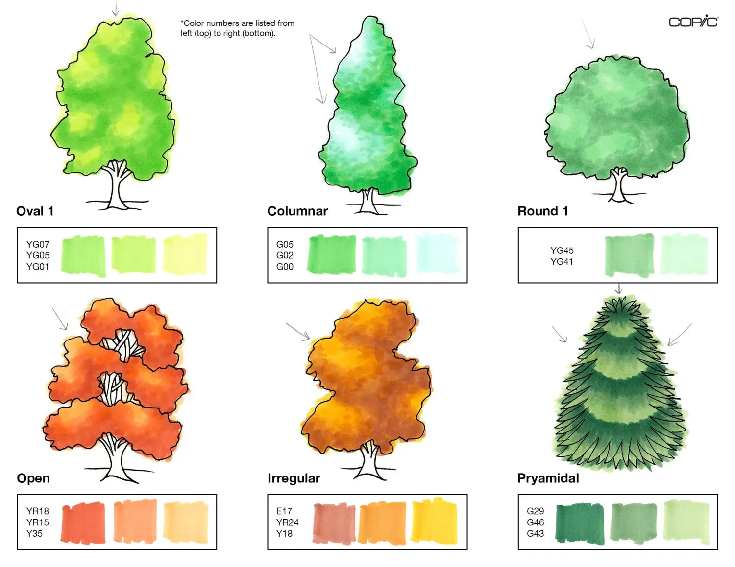 Nature coloring TREES pt. 1