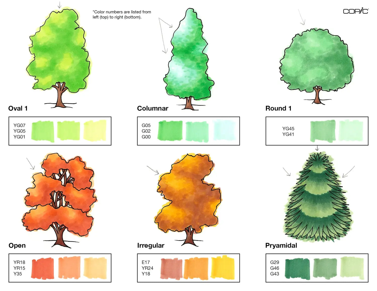 Nature coloring TREES pt. 1