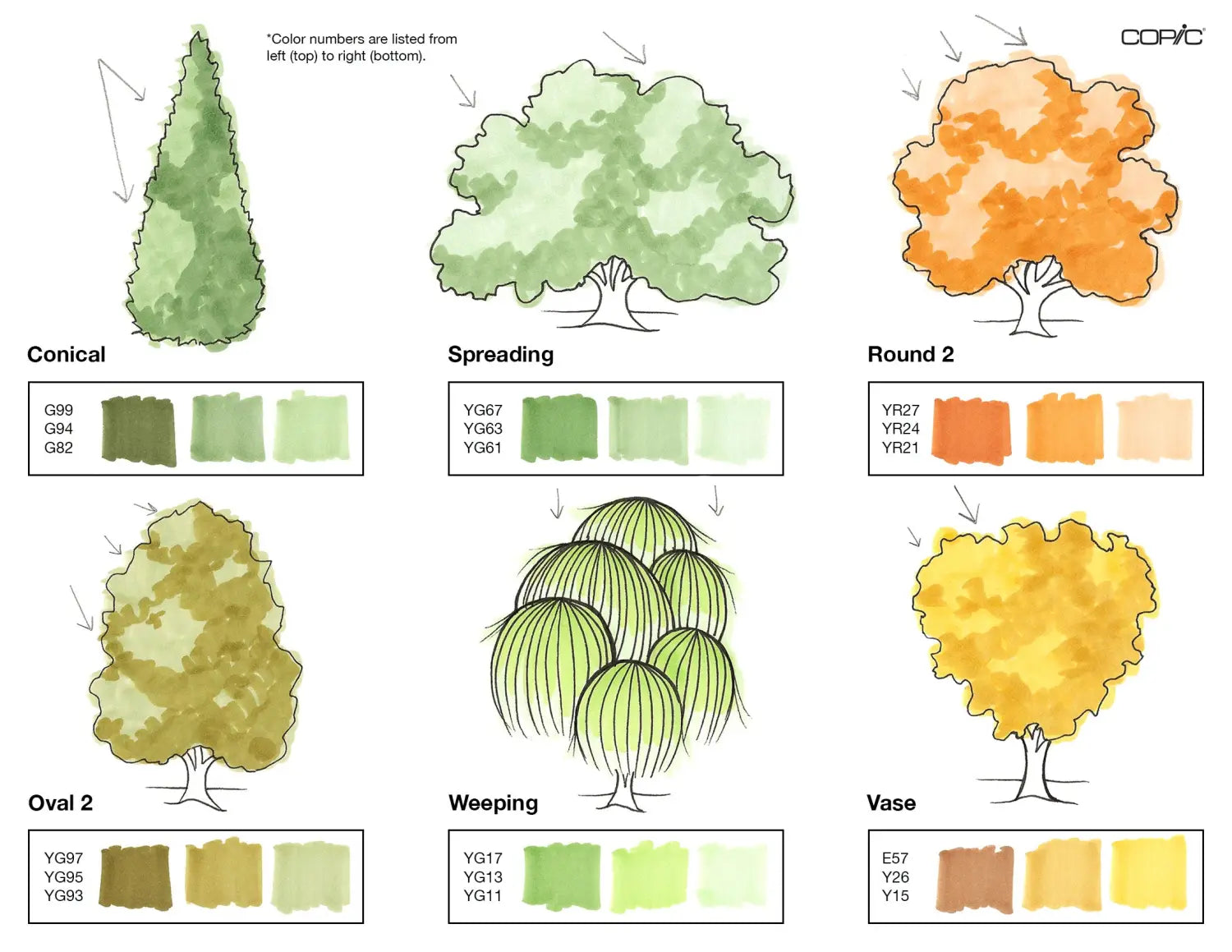 Nature coloring TREES pt. 2