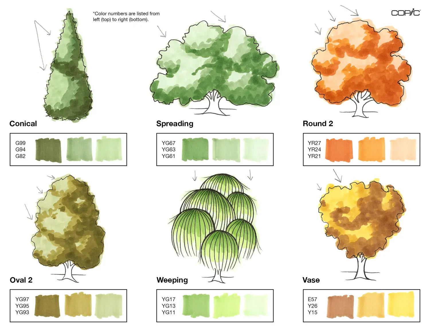 Nature coloring TREES pt. 2