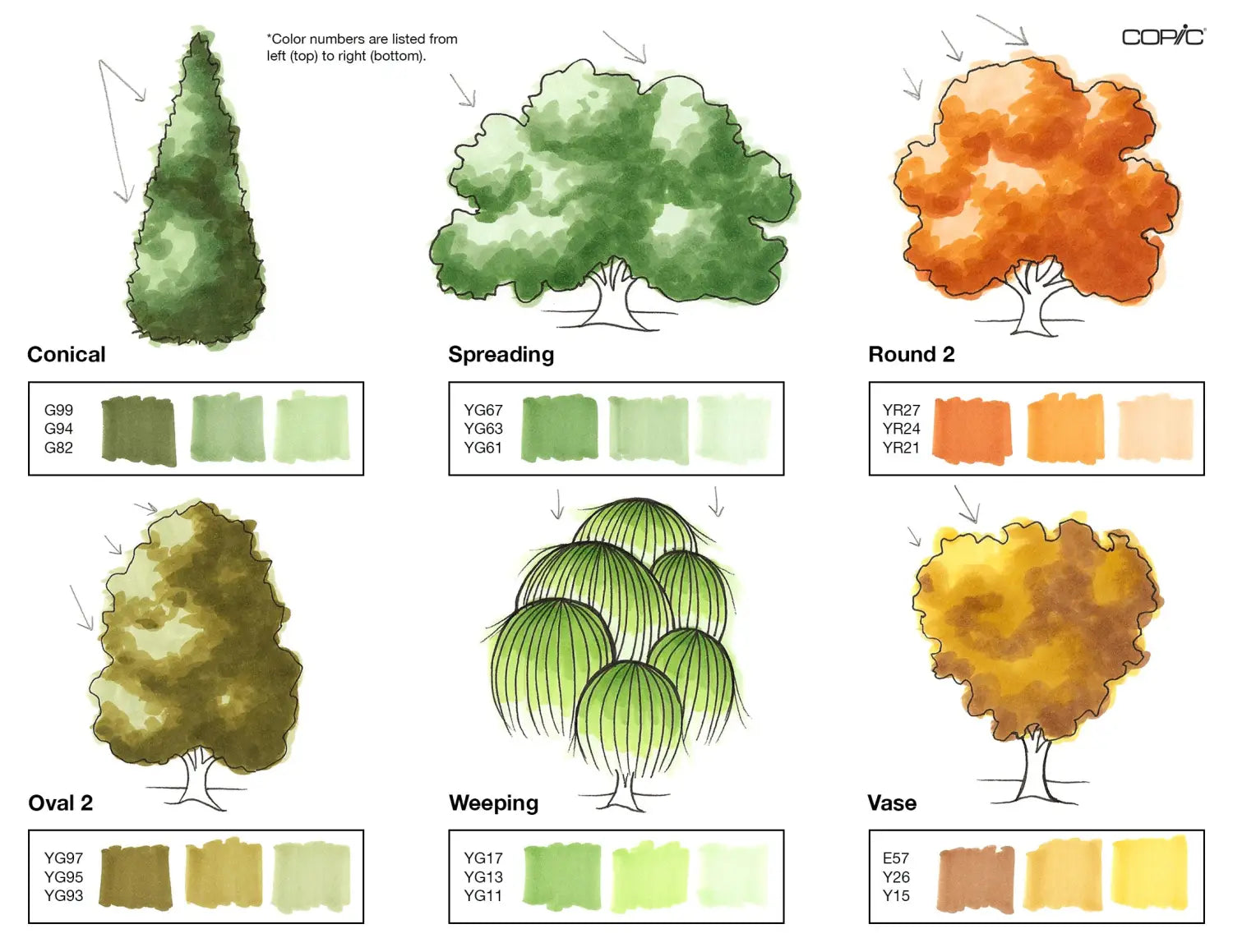 Nature coloring TREES pt. 2