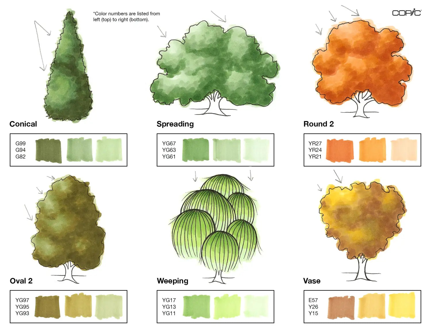 Nature coloring TREES pt. 2