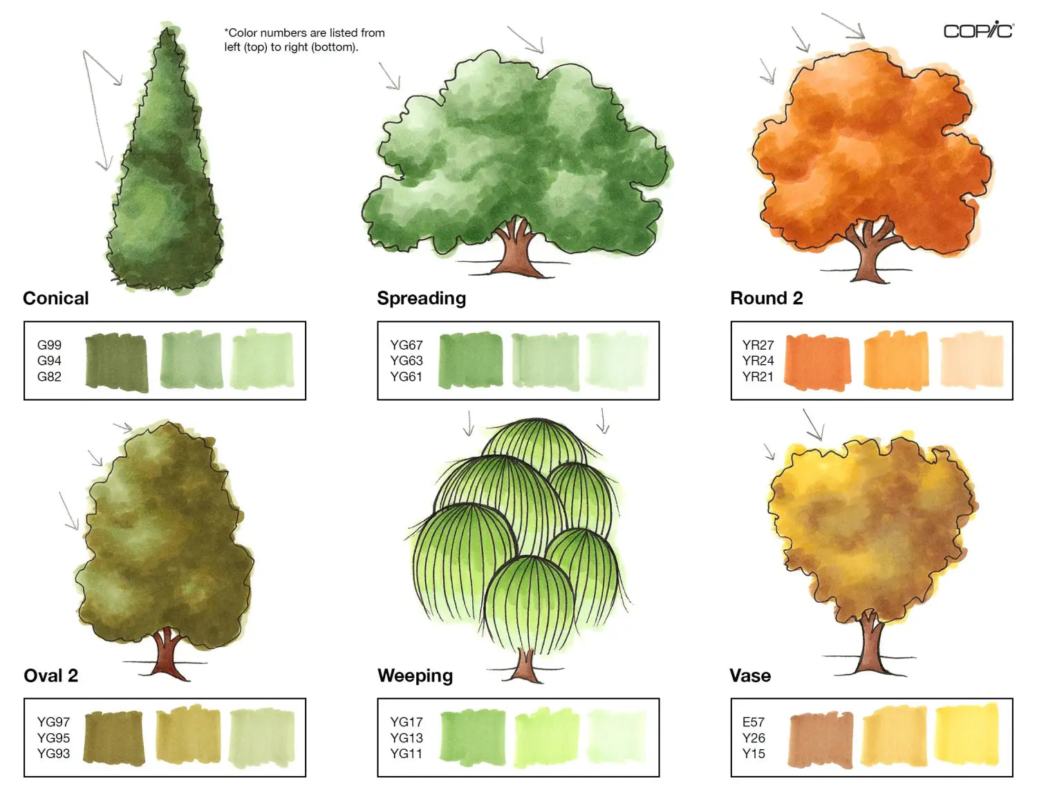 Nature coloring TREES pt. 2