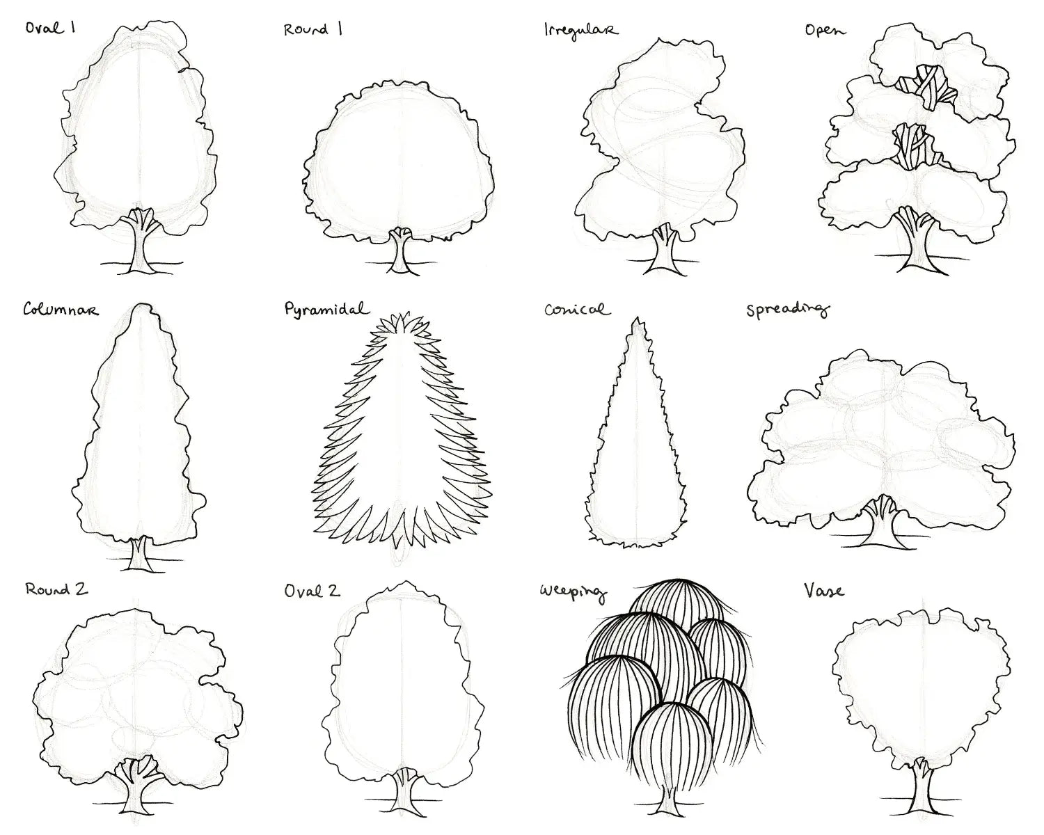 Nature draw + outline TREES