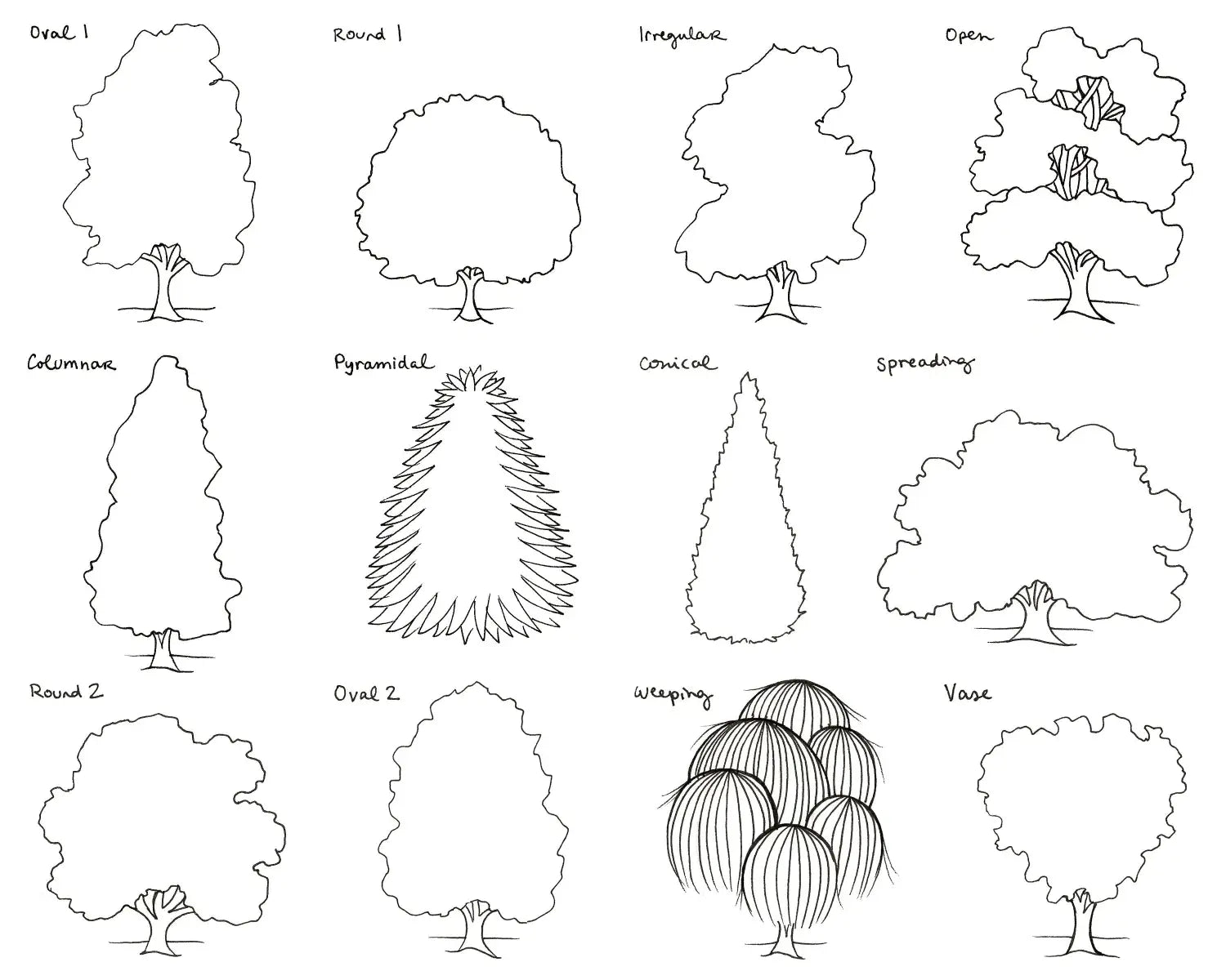 Nature draw + outline TREES