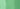 Apple Green – G14 | COPIC® Markers by Color