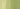 Lime Green – G21 | COPIC® Markers by Color