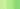 Yellowish Green – YG06 | COPIC® Markers by Color