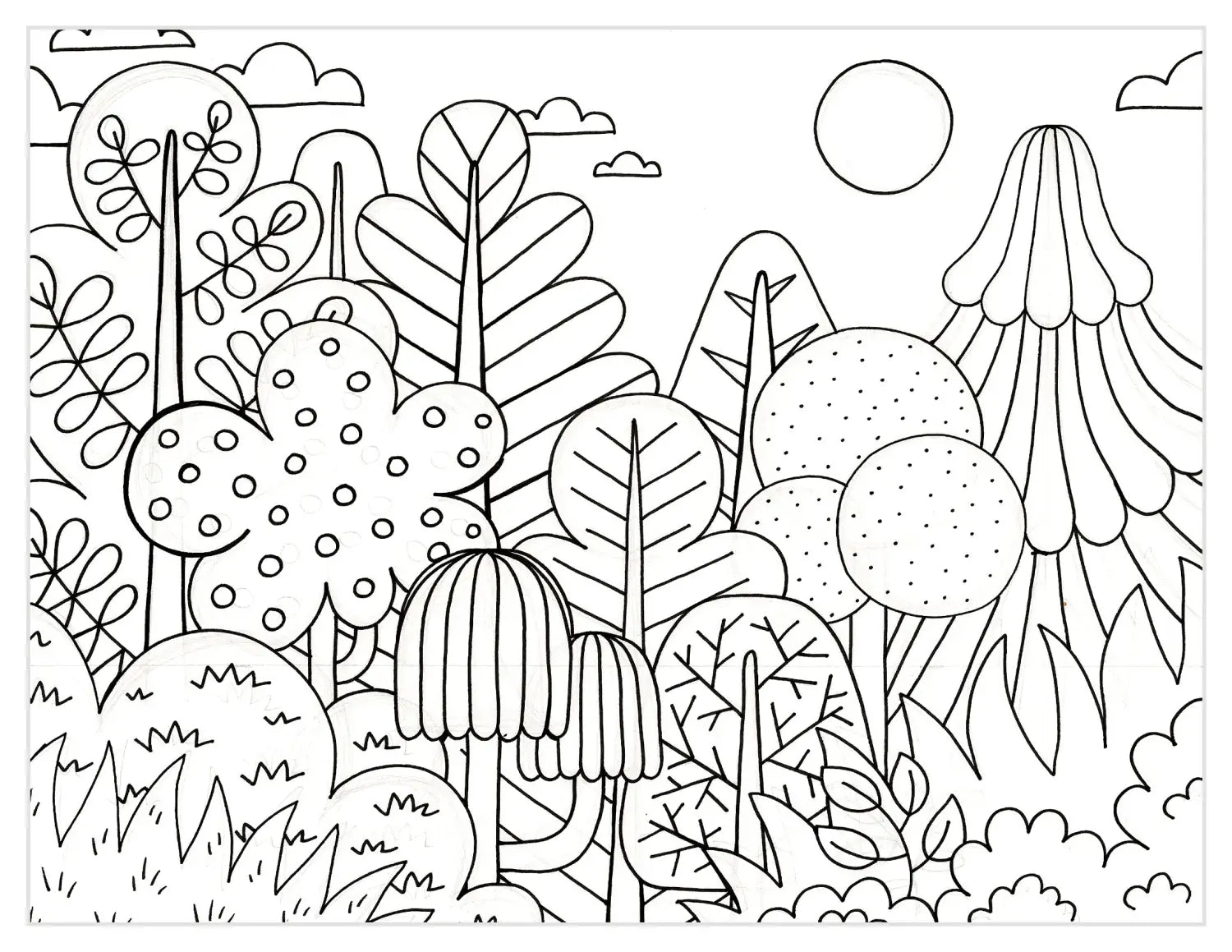 TREES drawing a forest