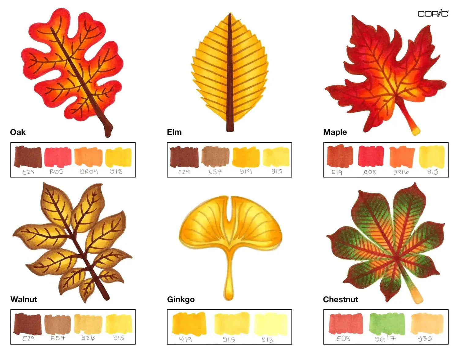 Nature Coloring Leaves pt. 1