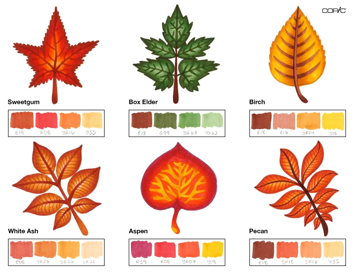 Nature Coloring Leaves pt. 2