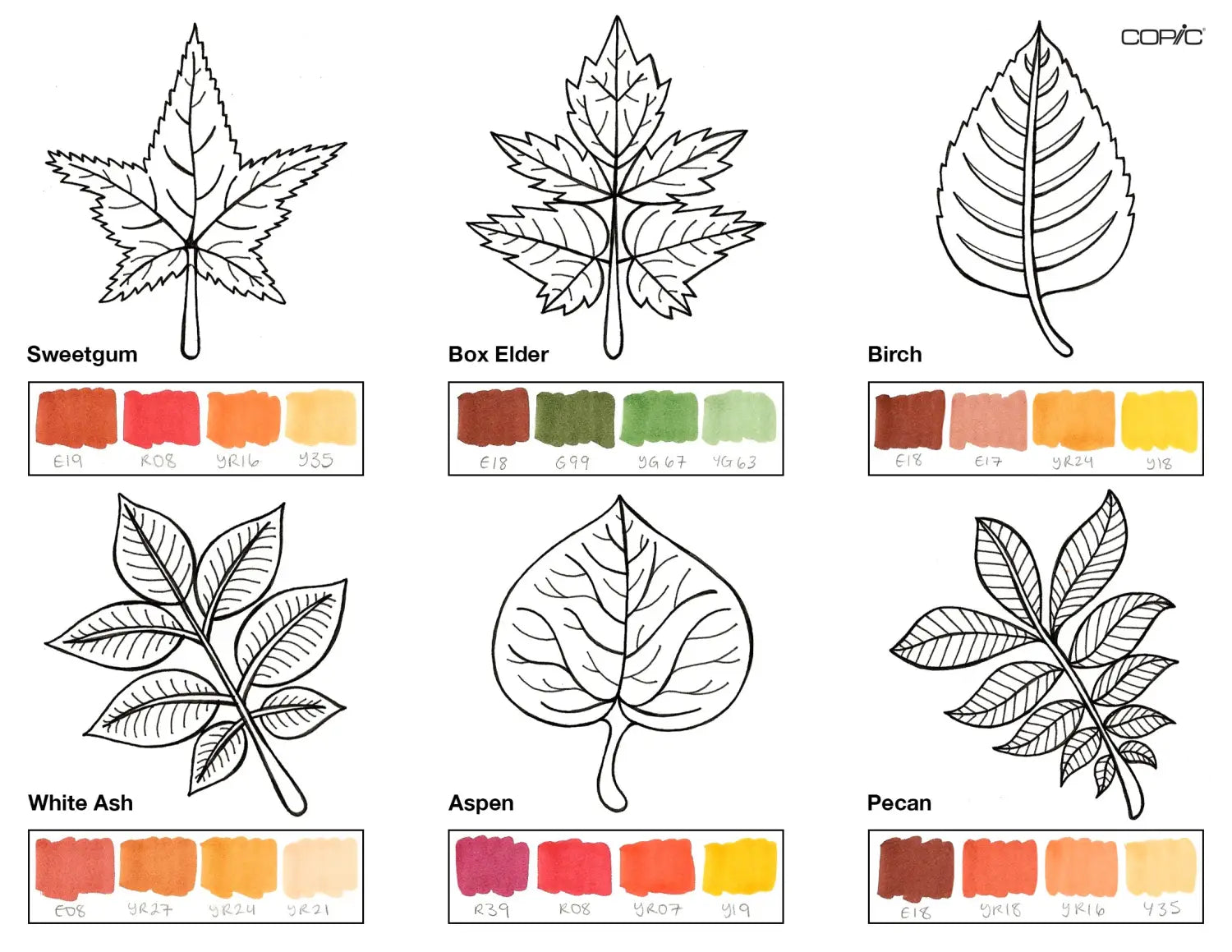 group 2 leaves step 1