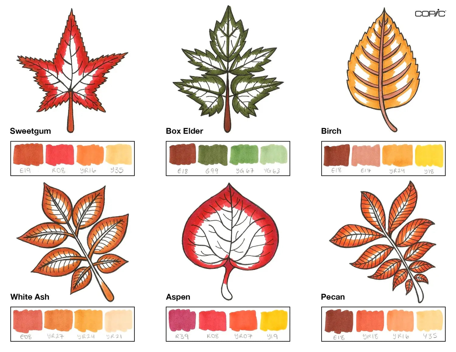 group 2 leaves step 3