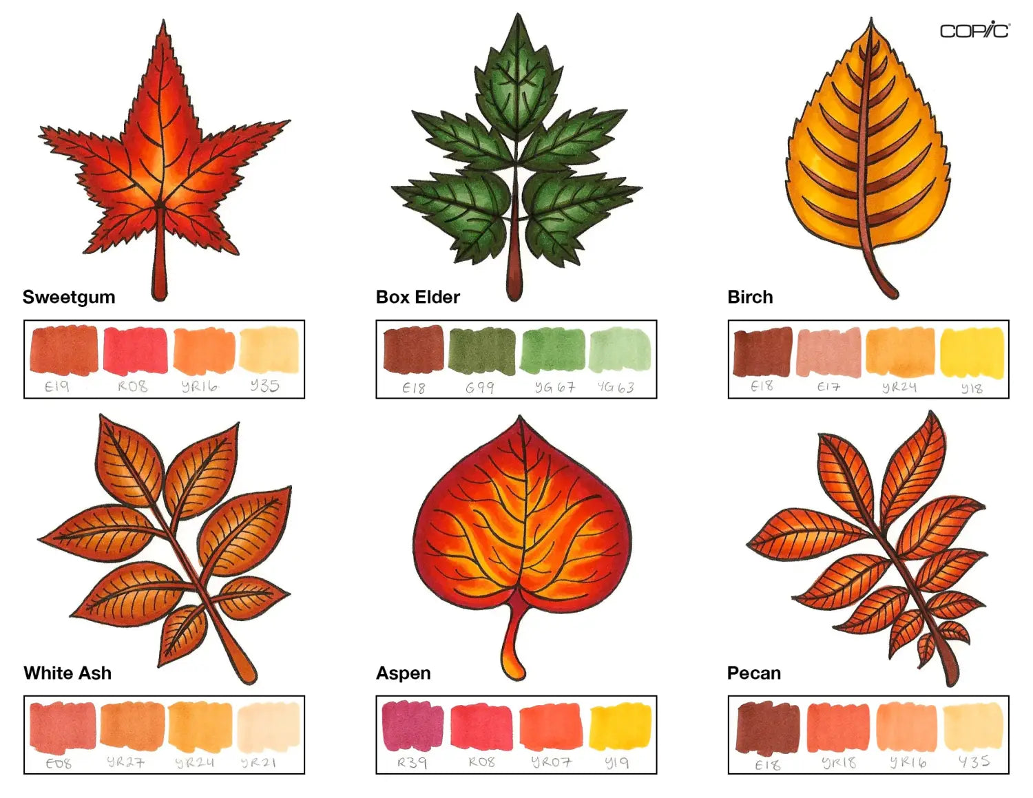 group 2 leaves step 6